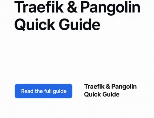 Traefik & Pangolin Fixes
